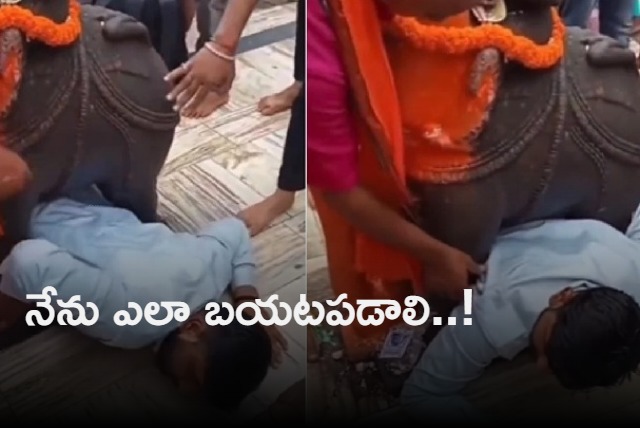 Viral video shows man stuck under an elephant statue at a temple Watch