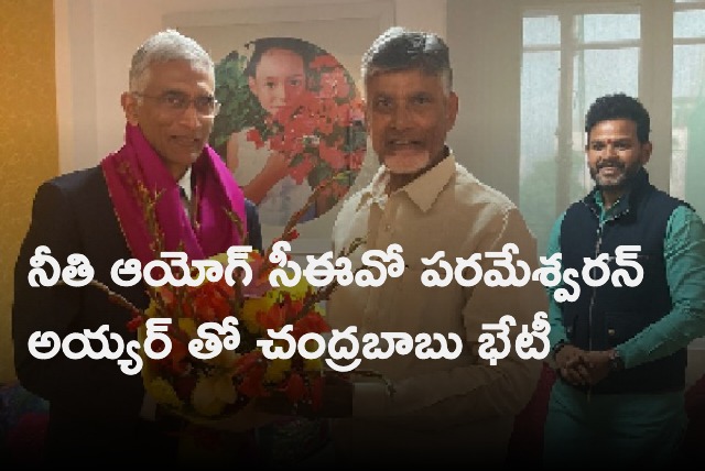 Chandrababu met NITI AAYOG CEO 