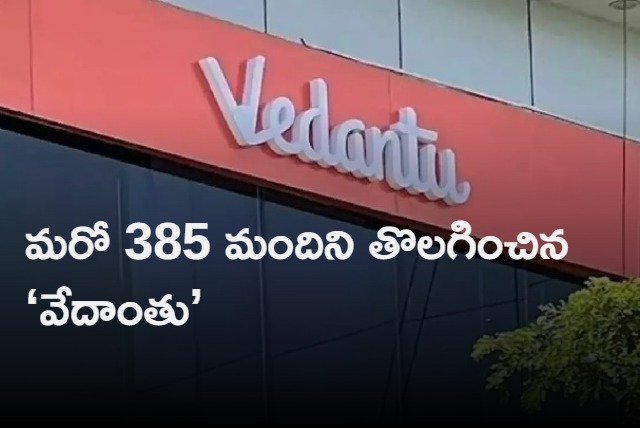 Vedantu sacks 385 employees