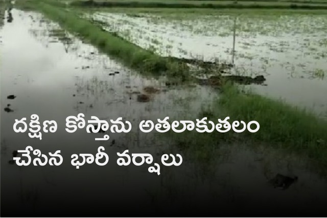 Heavy rains lashes AP South Coastal districts 