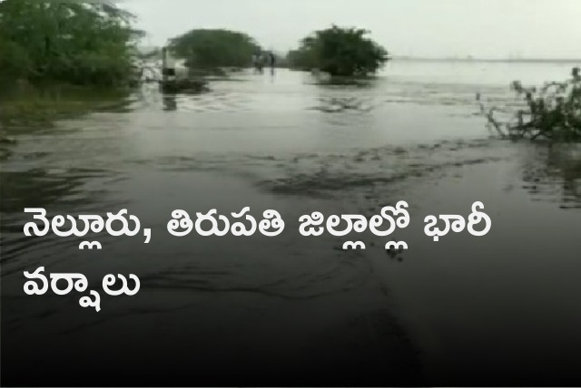 Heavy rains in Nellore and Tirupati districts