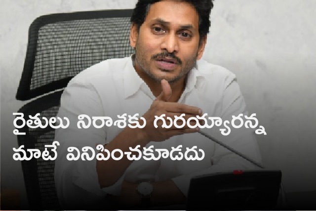 CM Jagan review meeting over Mandous effect