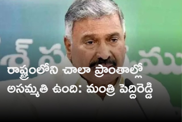 Minister Peddireddy Ramachandra Reddy Slams TDP Chief Chandrababu