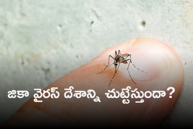 Zika Virus First case in Karnataka 5 yr old girl tests positive