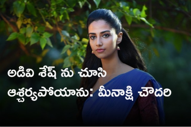 Meenakshi Choudary Interview