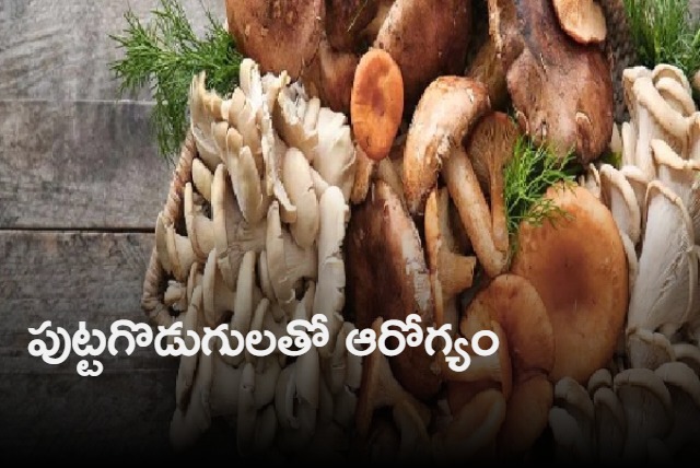 Health Benefits with Eating Mushrooms