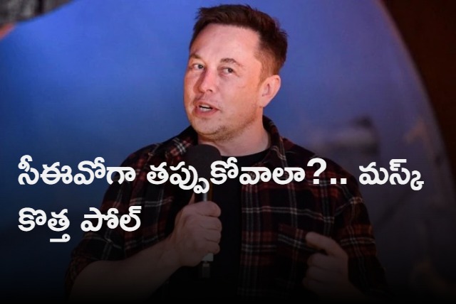 Should I Step Down from twitter ceo post asks Elon Musk