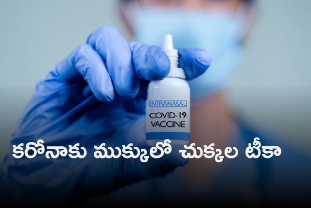 Govt approves Bharat Biotech nasal vaccine to be introduced on CoWIN