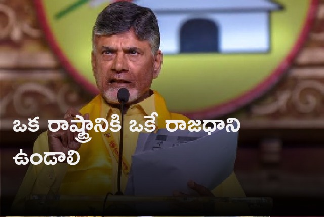 Chandrababu reiterates one state one capital