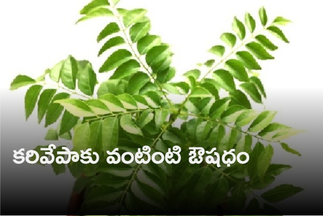 Curry Leaves Can Help You Prevent Chest Congestion