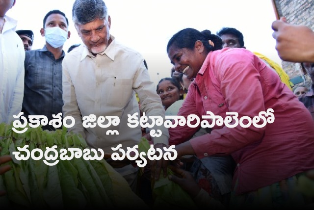 Chandrababu visits Kattavari Palem in Prakasam District