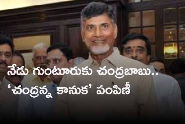 Chandrababu Today To Distribute Chandranna Kanuka in Guntur