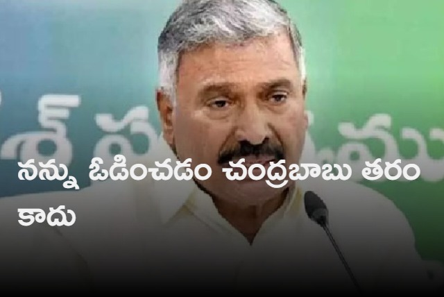 Peddireddy Ramachandra Reddy challenge to Chandrababu