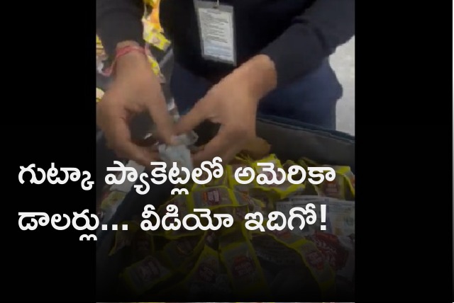 American dollars worth 32 lakhs found un Gutka packets