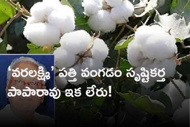 varalaxmi cotton seed creator k papa rao passes away