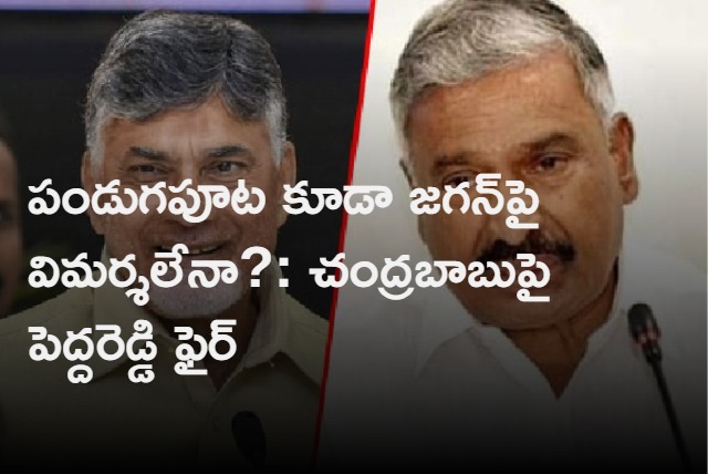 Peddireddy Ramachandra Reddy Slams Chandrababu Naidu