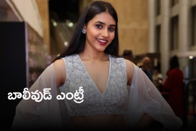 Kantara beauty Sapthami Gowda got chance in Vivek Agnihotri movie