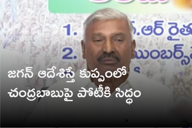 Peddireddy says if Jagan ordered he will contest against Chandrababu in Kuppam