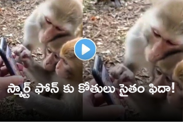 Union Minister Kiren Rijiju posts clip of monkeys scrolling through a smartphone