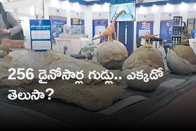 rare dinosaur nests in Narmada valley