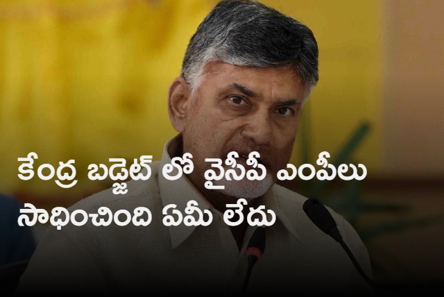 31 YSRCP MPs does not did any thing for AP in union budget says Chandrababu