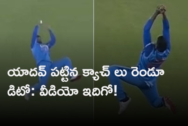 Suryakumar Yadav Takes Stunning Catch In Slips and Repats the same