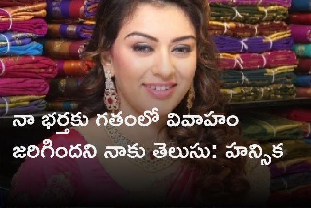 Hansika reacts to social media propaganda about her husband 