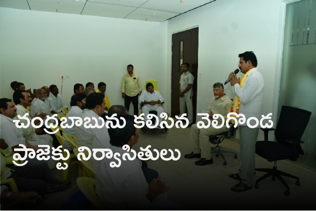 Veligonda project expatriates met Chandrababu 