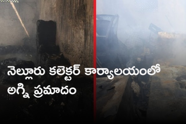 Fire accident in Nellore collectorate