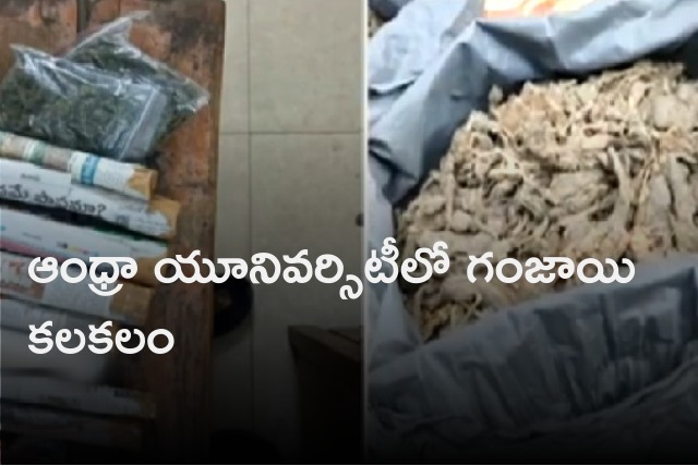 Ganja seized in Andhra University 