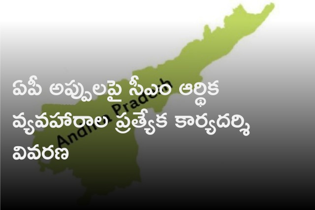 CMO official explains on AP debts 