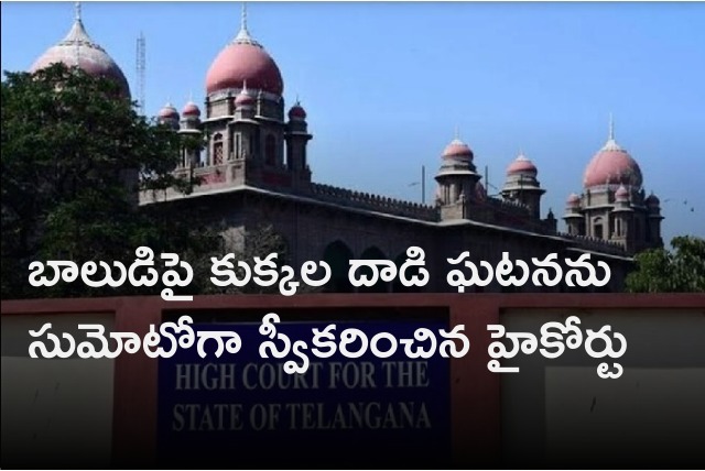 Telangana high court takes up boy death of stray dogs attack as Suo Moto