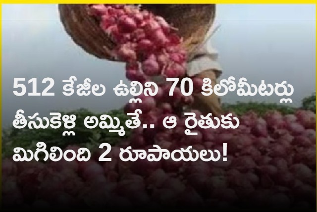 Maharashtra farmer sells 512 kg onion receives only of Rs 2