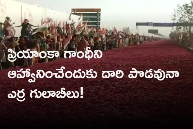 Congress rolls out rose carpet as Priyanka Gandhi arrives for plenary meet in Raipur