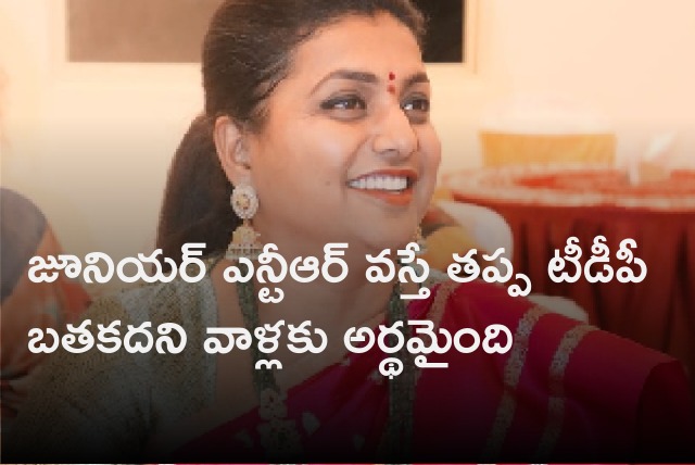 Roja comments on Jr NTR political entry 