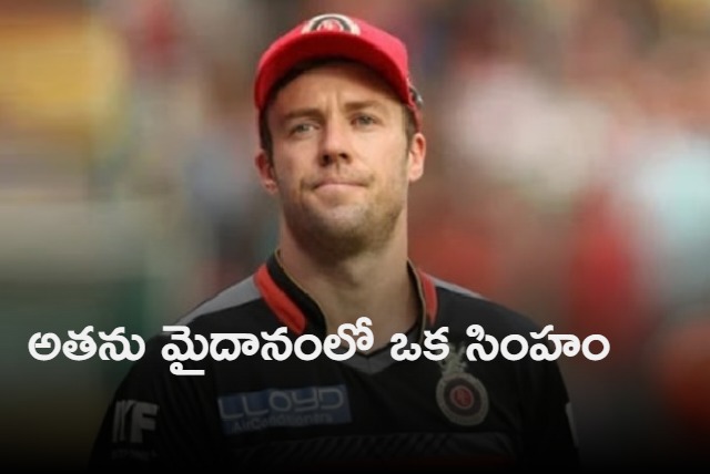 AB De Villiers says Rashid Khan is worlds best T20 player