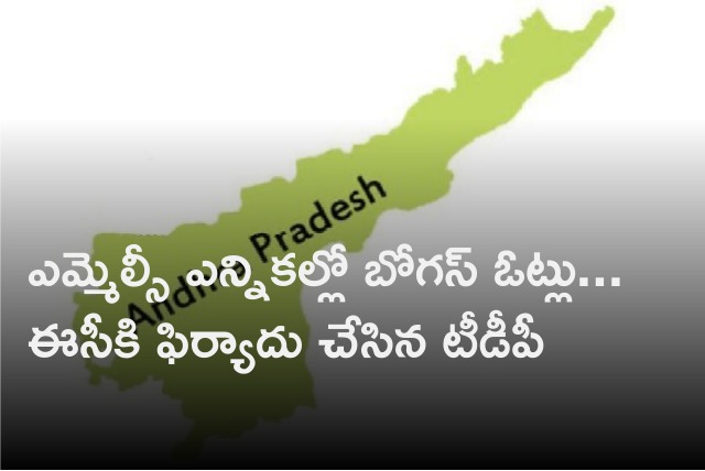 TDP complains to EC on bogus votes 