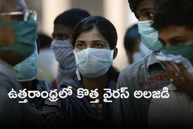 Andhra Pradesh health dept sounds alert on Influenza virus H3N2