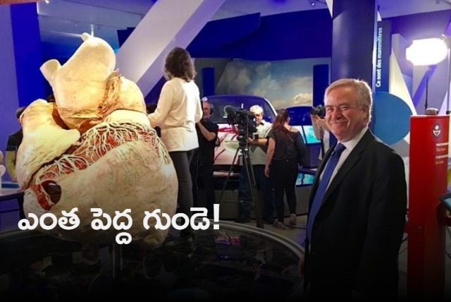 Harsh Goenka shares breathtaking picture of a blue whales preserved heart