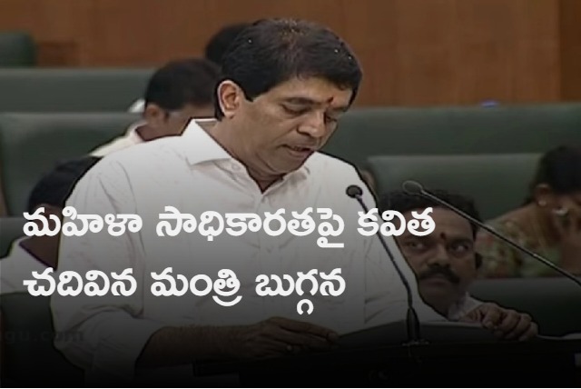 ap minister budget speech in assembly