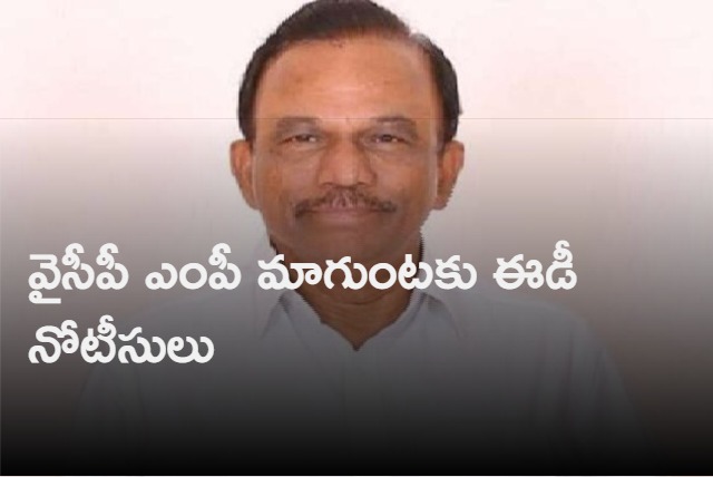 ED notices to YCP MP Magunta