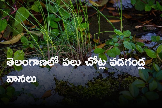 Hail storm in some places of Telangana 