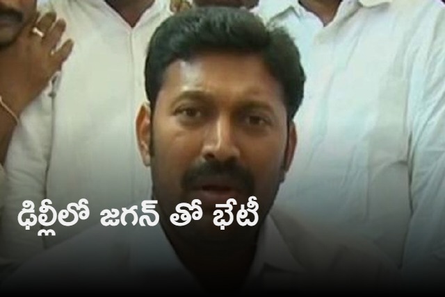 YS Avinash Reddy meets Jagan in Delhi