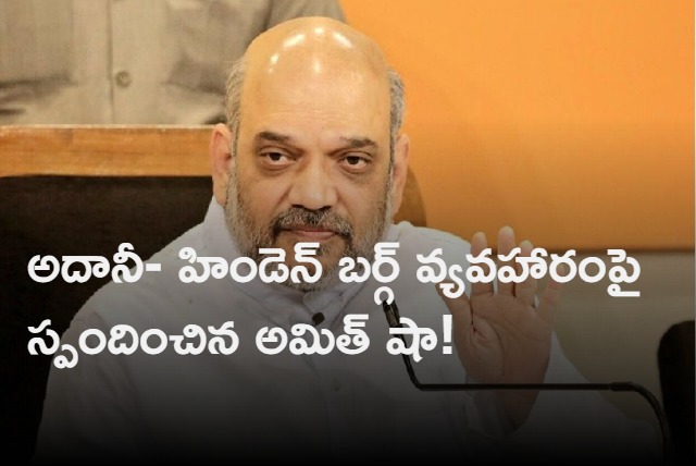 Amit Shah responds on Adani Hindenburg Row