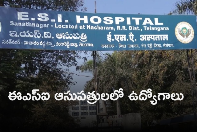 ESIC Invites applications recruiting posts in hyderabad district esi hospitals