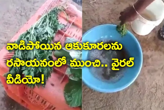 Man Dips Leafy Veggies In Chemical Solution Watch What Happens Next