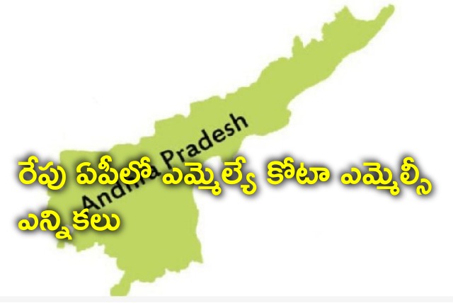 All set for MLA quota MLC elections in  AP