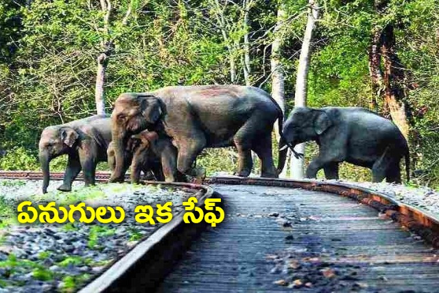 Northeast Frontier Railway uses AI to prevent elephants getting hit by trains