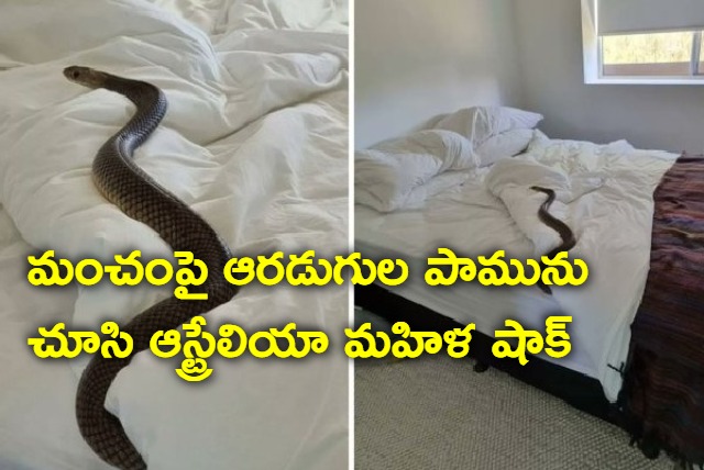 Australia women found A snake in her bed