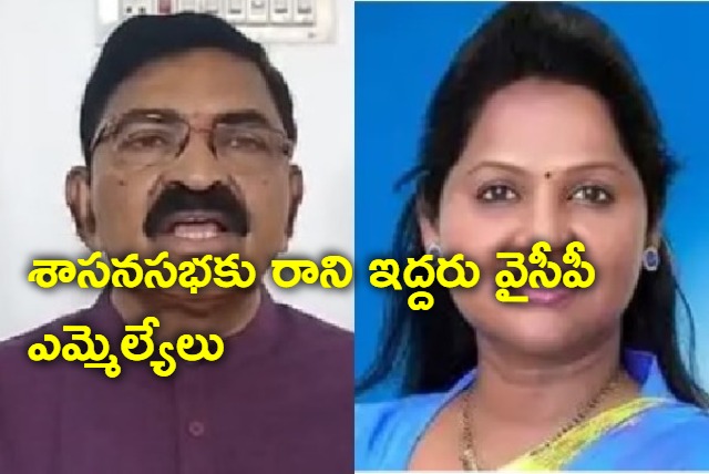 Mekapati and Undavalli Sridevi not came to Assembly